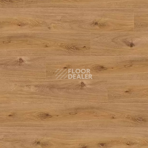 Ламинат My Floor Chalet 10мм m1029 Дуб Престиж светлый фото 1 | FLOORDEALER