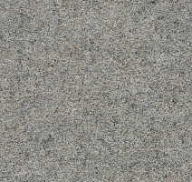 Ковролин Forbo Forte 96010 Quartz фото 1 | FLOORDEALER