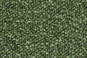 Ковровая плитка Tessera Atrium 1464 фото  | FLOORDEALER