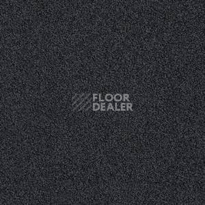 Ковровая плитка Interface Sherbet Fizz 5553 фото 1 | FLOORDEALER