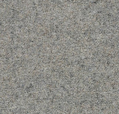 Ковролин Forbo Forte 96010 Quartz фото 1 | FLOORDEALER