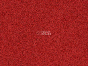 Ковролин Balta ITC Amaize Edison 11 фото 1 | FLOORDEALER