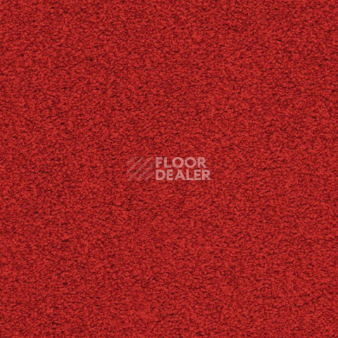 Ковролин Balta ITC Amaize Edison 11 фото 1 | FLOORDEALER