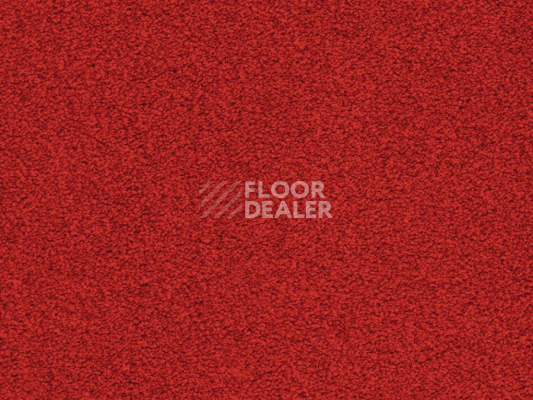 Ковролин Balta ITC Amaize Edison 11 фото 1 | FLOORDEALER