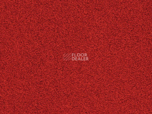 Ковролин Balta ITC Amaize Edison 11 фото 1 | FLOORDEALER