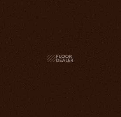 Ковролин Forbo Showtime Nuance 900234 фото 1 | FLOORDEALER