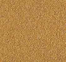 Ковровая плитка Modulyss Xtra Perpetual 21 f фото 1 | FLOORDEALER