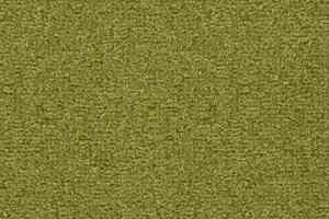 Ковролин Vorwerk Passion 1044 Vorwerk 4g22 фото  | FLOORDEALER