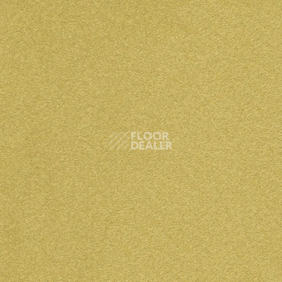 Ковролин Balta ITC Rossini 152 фото 1 | FLOORDEALER