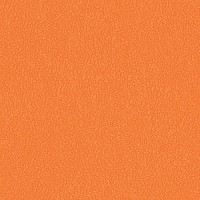 Линолеум GraboSport Elite 60 3338_00_275 фото 1 | FLOORDEALER