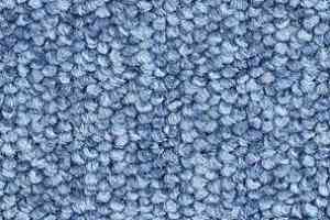 Ковролин Balsan Centaure 2000 Centaure 110 фото  | FLOORDEALER