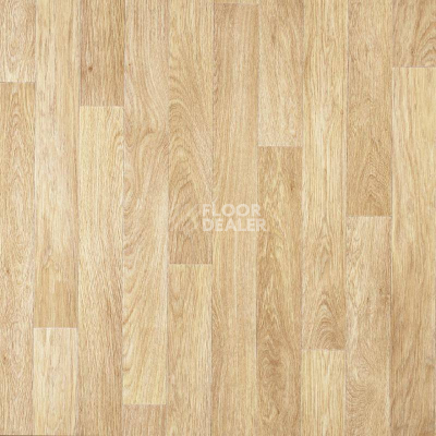 Линолеум Tarkett Лин Быт 21-2,5 ДУБ ПОЛАРИС фото 1 | FLOORDEALER