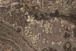 Керамогранит Izmir 119X119 Marron фото  | FLOORDEALER