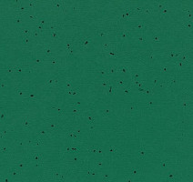 Линолеум Forbo Sphera Energetic 50242 malachite фото 1 | FLOORDEALER