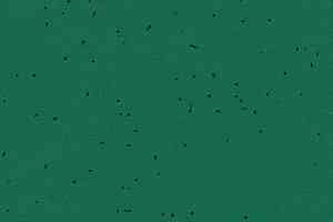 Линолеум Forbo Sphera Energetic 50242 malachite фото  | FLOORDEALER