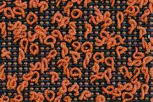 Ковролин Carpet Concept Eco Iqu S 8274 фото  | FLOORDEALER