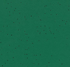 Forbo Sphera Energetic 50242 malachite фото 1 | FLOORDEALER