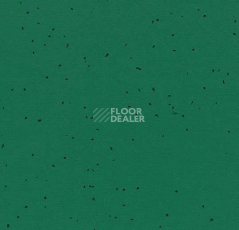 Линолеум Forbo Sphera Energetic 50242 malachite фото 1 | FLOORDEALER