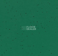 Линолеум Forbo Sphera Energetic 50242 malachite фото 1 | FLOORDEALER