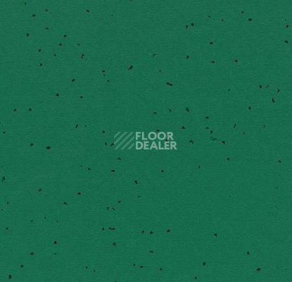 Линолеум Forbo Sphera Energetic 50242 malachite фото 1 | FLOORDEALER