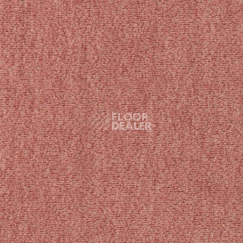 Ковролин Vorwerk Passion 1002 Vorwerk 1j93 фото 1 | FLOORDEALER