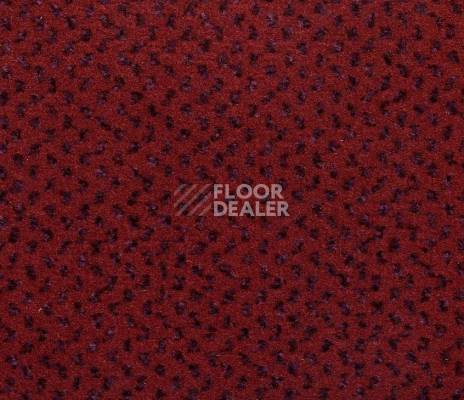 Ковролин Big Venezia 445 фото 1 | FLOORDEALER