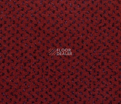 Ковролин Big Venezia 445 фото 1 | FLOORDEALER