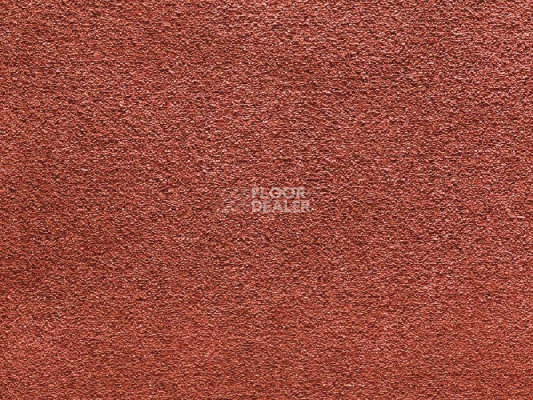 Ковролин Balta Wild Luxury Paddington 66 фото 1 | FLOORDEALER