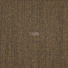 Carpet Concept Eco 500 6953 фото 1 | FLOORDEALER