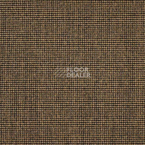 Ковролин Carpet Concept Eco 500 6953 фото 1 | FLOORDEALER