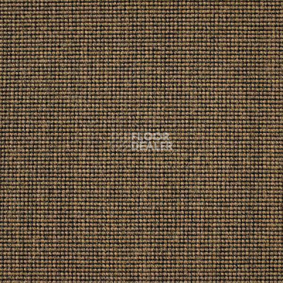 Ковролин Carpet Concept Eco 500 6953 фото 1 | FLOORDEALER