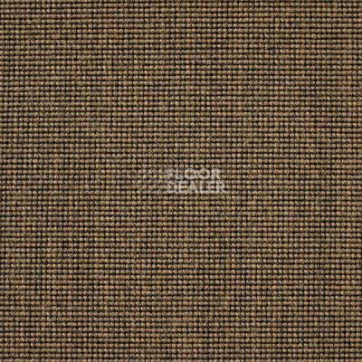Ковролин Carpet Concept Eco 500 6953 фото 1 | FLOORDEALER