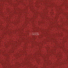 Balsan Togo 571 фото 1 | FLOORDEALER