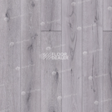 Ламинат Alpine Floor Intensity 12мм LF101-19 Дуб Катания фото 1 | FLOORDEALER