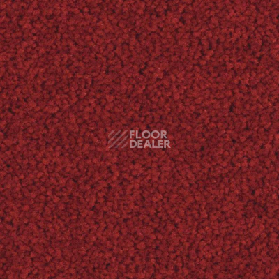 Ковровая плитка Balsan Serenite Sonic Confort 571 фото 1 | FLOORDEALER