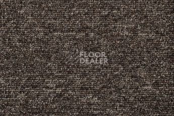 AW Medusa / Медуза 43 фото 2 | FLOORDEALER