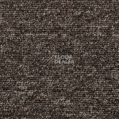 AW Medusa / Медуза 43 фото 2 | FLOORDEALER