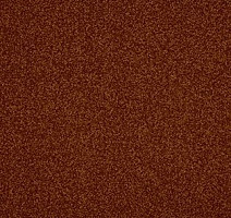 Ковролин AW Miracle 84 фото 1 | FLOORDEALER