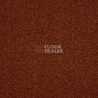 Ковролин AW Miracle 84 фото 1 | FLOORDEALER