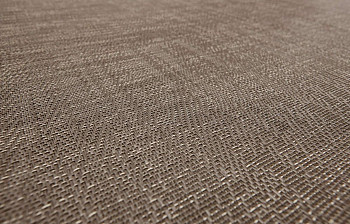 Bolon Silence Gracious фото 1 | FLOORDEALER