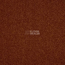 Ковролин AW Miracle 84 фото 1 | FLOORDEALER