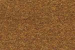 Ковролин AW Sauvage 80 фото  | FLOORDEALER