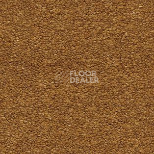 Ковролин AW Sauvage 80 фото 1 | FLOORDEALER