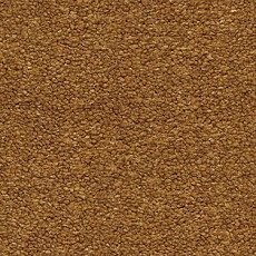 Ковролин AW Sauvage 80 фото 1 | FLOORDEALER