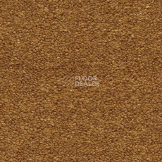 Ковролин AW Sauvage 80 фото 1 | FLOORDEALER