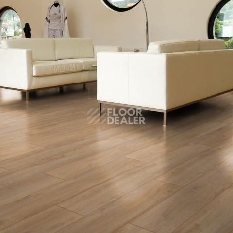 Kronotex Robusto 12мм d4954 Дуб Премиум фото 6 | FLOORDEALER