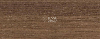 Плинтус Dollken EP 60/13 2595 фото 2 | FLOORDEALER
