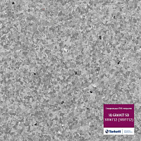 Линолеум Tarkett iq Granit Sd 3096 712 (3097 712) фото 1 | FLOORDEALER