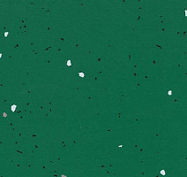 Линолеум Forbo Sphera Energetic 51242 vivid malachite фото 1 | FLOORDEALER