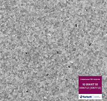 Линолеум Tarkett iq Granit Sd 3096 712 (3097 712) фото 1 | FLOORDEALER